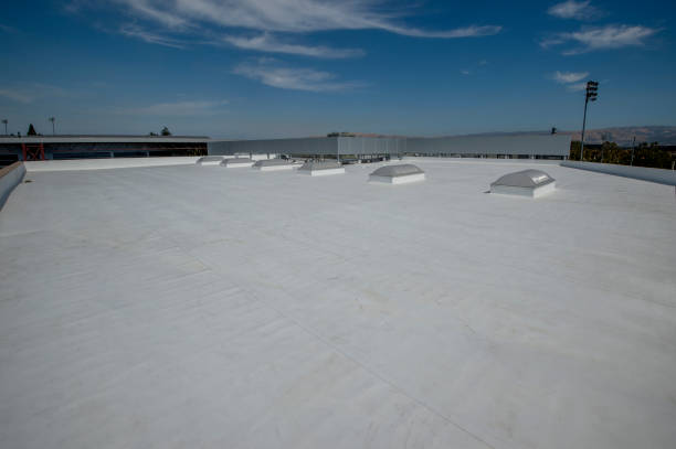 Best Flat Roofing  in South Euclid, OH