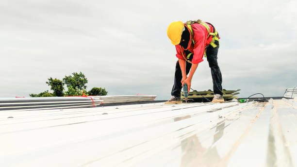 Professional Roofing in South Euclid, OH